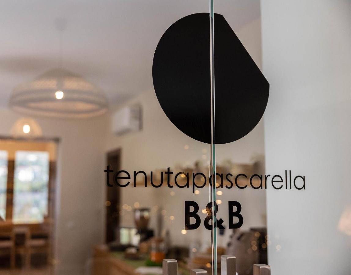 Tenuta Pascarella Bed & Breakfast Frasso Telesino Exteriér fotografie